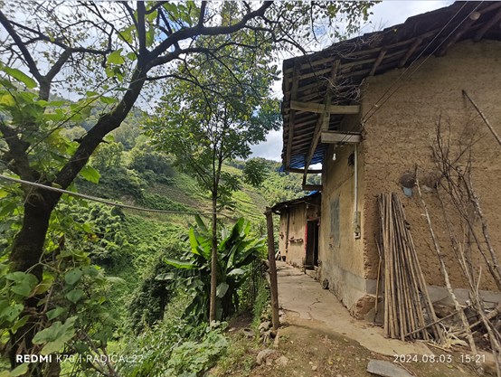 圖片1.png 圖片1.png